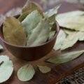 Как сушить лавровый лист в домашних условиях